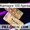 Kamagra 100 Ajanta new06